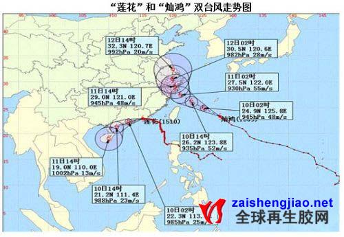 双台风对海南橡胶没有造成太大损害150714